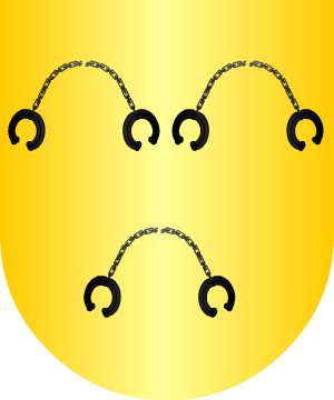 ESCUDO ALEATORIO